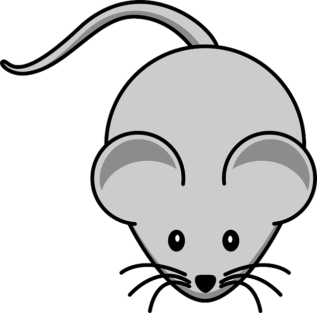 Whiskers Mouse, Simple, Cartoon, Tail, Rodent, Whiskers - Cartoon Of Mouse - Free Transparent PNG Clipart Images Download. - Mouse Transparent PNG Free Download