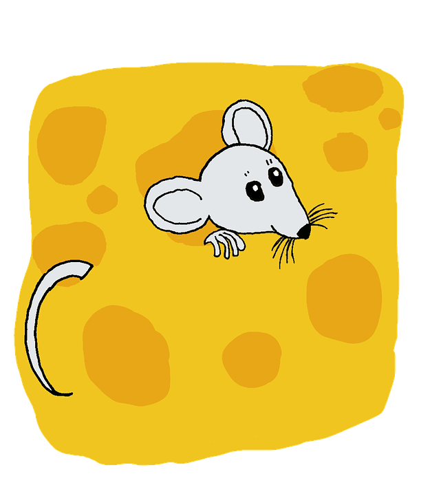 Rat, Mouse, Cheese, Animal, Mammal, Rodent, Cartoon - Mammal - Free Transparent PNG Clipart Images Download. - Mouse Transparent PNG Free Download