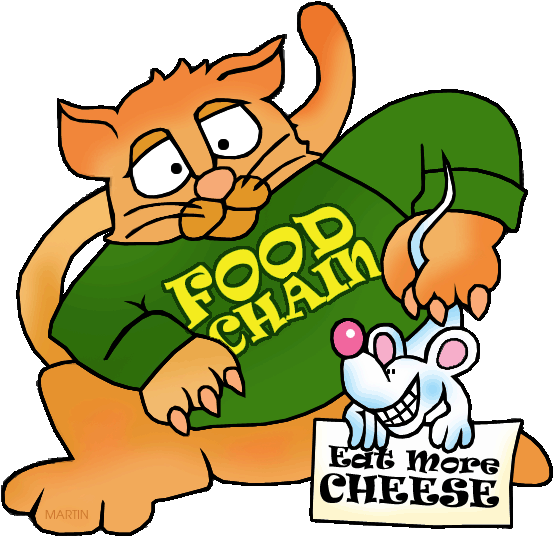 Food Chain With Cat And Mouse - Food Chain Clip Art - Free Transparent PNG Clipart Images Download. - Mouse Transparent PNG Free Download