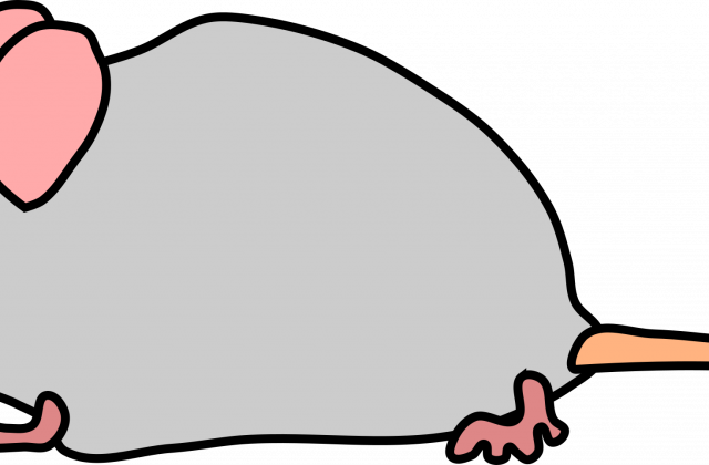 Maus Clipart Clipart Collection Funny Cartoon Mouse - Maus Clipart - Free Transparent PNG Clipart Images Download. - Mouse Transparent PNG Free Download