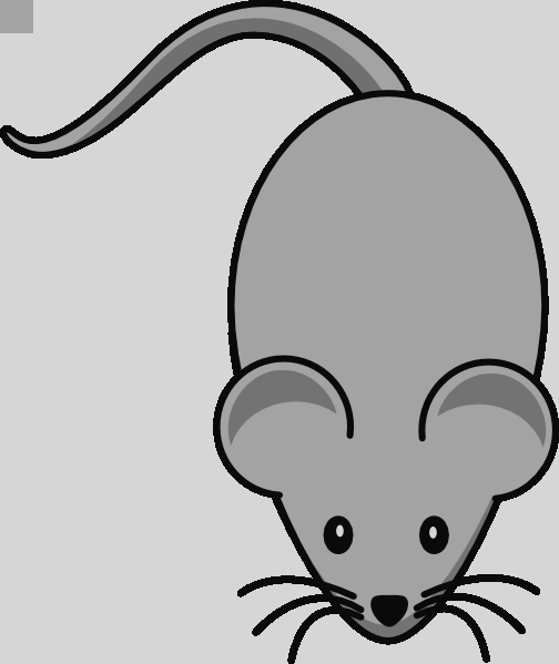 Mouse Clipart Transparent Computer Mouse Clipart Images - Cartoon Mouse Shower Curtain - Free Transparent PNG Clipart Images Download. - Mouse Transparent PNG Free Download
