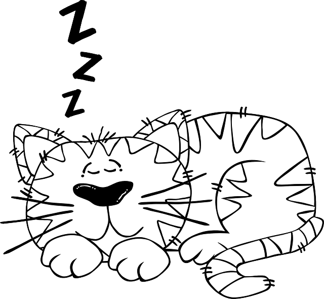 Outline Animals, Baby, Cat, Monkey, Mouse, Black, Outline - Sleep Cartoon Black And White - Free Transparent PNG Clipart Images Download. - Mouse Transparent PNG Free Download