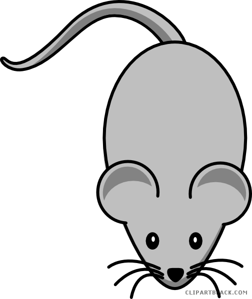 Grey Mouse Animal Free Black White Clipart Images Clipartblack - Mouse Clipart - Free Transparent PNG Clipart Images Download. - Mouse Transparent PNG Free Download