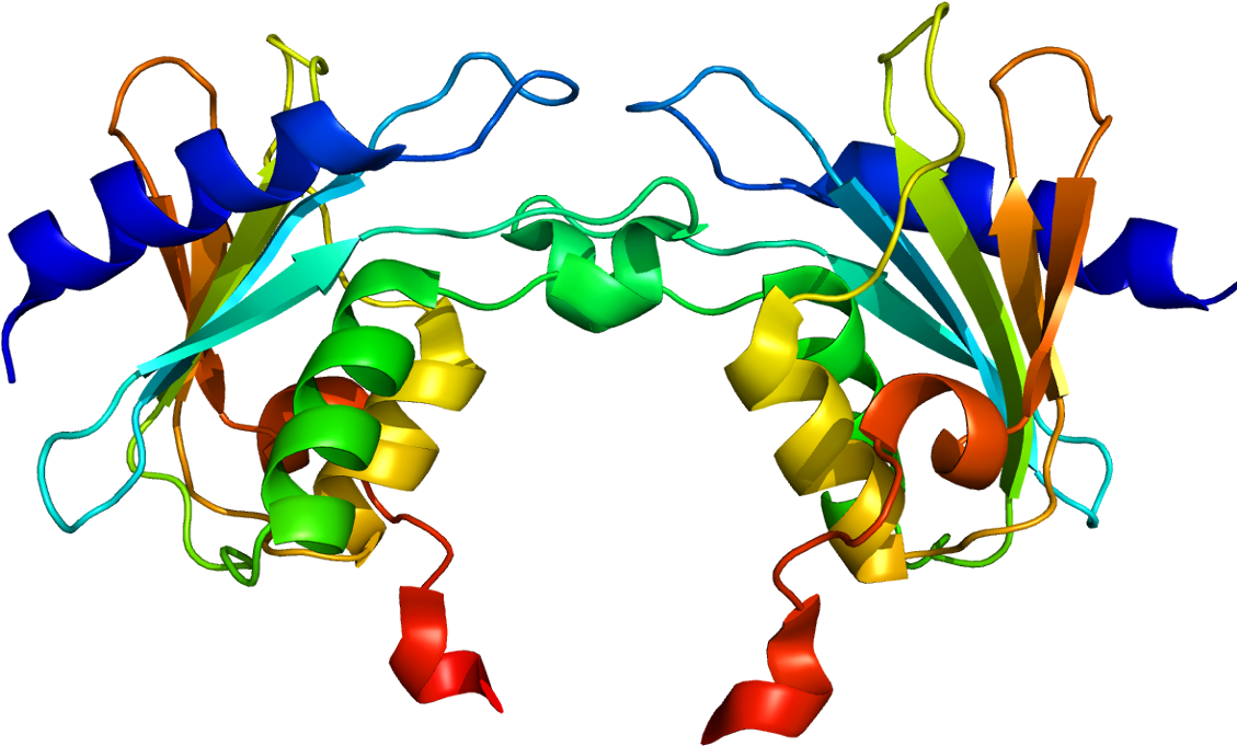 Phenylketonuria Cured In Mouse Model By Adaptation - Phenylketonuria Cured In Mouse Model By Adaptation - Free Transparent PNG Clipart Images Download. - Mouse Transparent PNG Free Download