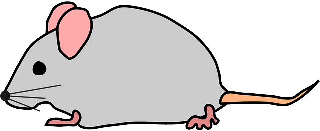 Free Pictures Images Found Cute Mouse Rat - Transparent Mouse Clipart - Free Transparent PNG Clipart Images Download. - Mouse Transparent PNG Free Download