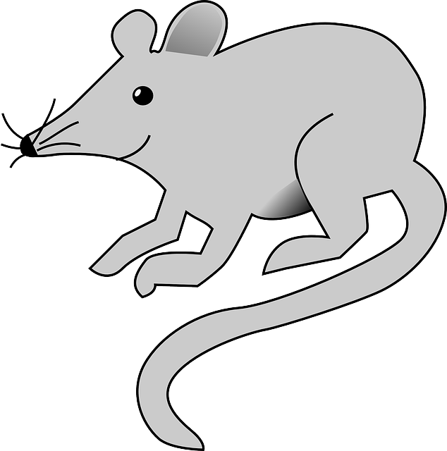 Mouse, Cartoon, Rat, Grey, Animal, Tail, Arts, Rats - Rat Clipart - Free Transparent PNG Clipart Images Download. - Mouse Transparent PNG Free Download