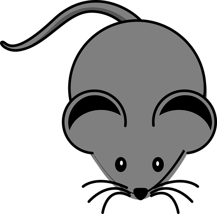 Grey Clipart Mouse Animal - Clip Art Of Mouse - Free Transparent PNG Clipart Images Download. - Mouse Transparent PNG Free Download