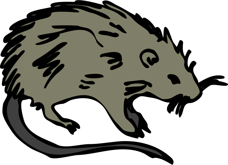 Mouse Rat Rodent Clip Art At Vector Clip Art - Burial Of The Rats [book] - Free Transparent PNG Clipart Images Download. - Mouse Transparent PNG Free Download