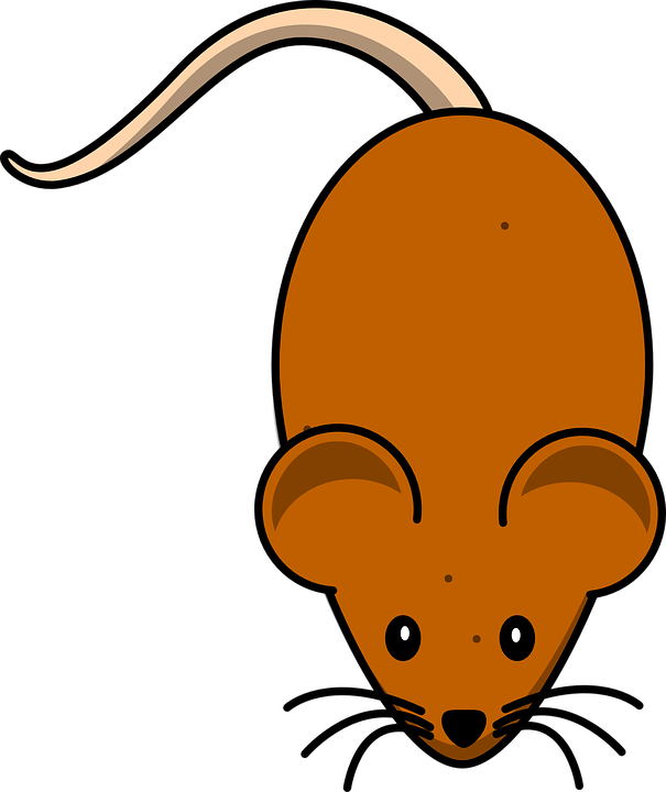 Cheese Cartoon Cliparts 29, Buy Clip Art - Mouse Clip Art - Free Transparent PNG Clipart Images Download. - Mouse Transparent PNG Free Download