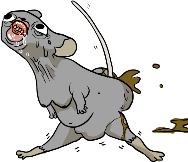 I Also Just So Happen To Own A Photo Of A Mouse Shitting - I Also Just So Happen To Own A Photo Of A Mouse Shitting - Free Transparent PNG Clipart Images Download. - Mouse Transparent PNG Free Download