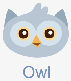 Owl Face Free Image Icon For Print Use, HD Png Download - Owl Transparent PNG Free Download
