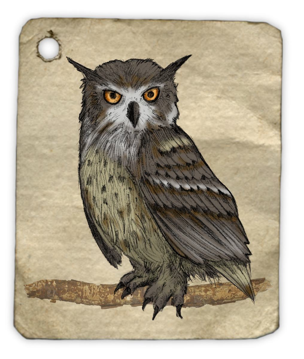 Owl, Painting, Watercolor, Animal, Tag, Label, Drawing - Gambar Lukisan Burung Hantu Transparent PNG - 1099x1280 - Free Download on - Owl Transparent PNG Free Download