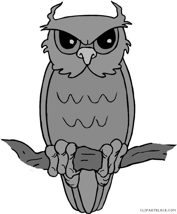 Cute Owl Animal Free Black White Clipart Images Clipartblack - Full Of Angst Rectangle Magnet - Free Transparent PNG Clipart Images Download. - Owl Transparent PNG Free Download
