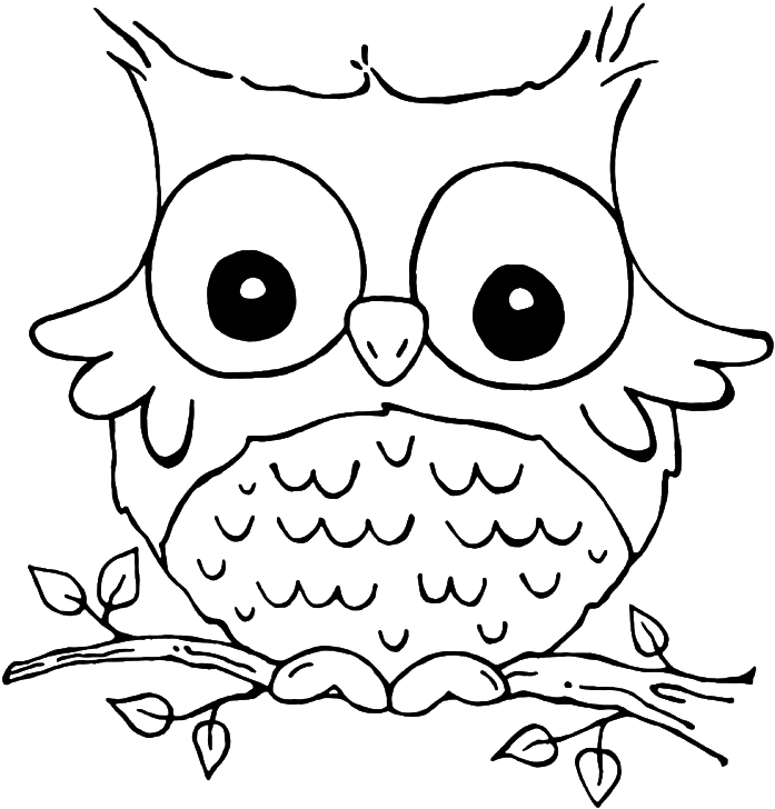 Free Owl Coloring Pages Agimapeadosencolombiaco - Coloring Pages For Girls - Free Transparent PNG Clipart Images Download. - Owl Transparent PNG Free Download