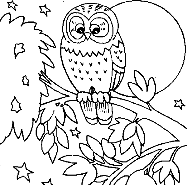 Free Printable Coloring Pages Of Owls - Owls Coloring Pages Printable - Free Transparent PNG Clipart Images Download. - Owl Transparent PNG Free Download