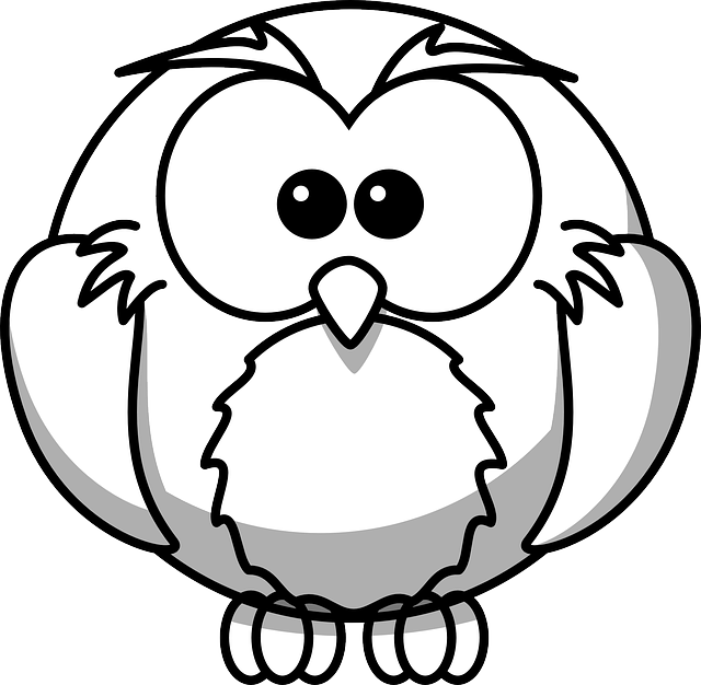 Cute Bird, Owl, Animal, Cute - Black And White Colouring Pages - Free Transparent PNG Clipart Images Download. - Owl Transparent PNG Free Download