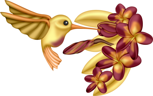 Bird Clipart, Wild Birds, Beautiful Birds, Clip Art, - Clip Art - Free Transparent PNG Clipart Images Download. - Owl Transparent PNG Free Download