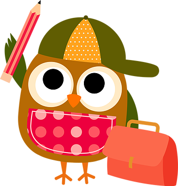 Pratiquer Des Chansons À La Maison - Colorful Owls Birthday Banner Personalized Party Backdrop - Free Transparent PNG Clipart Images Download. - Owl Transparent PNG Free Download