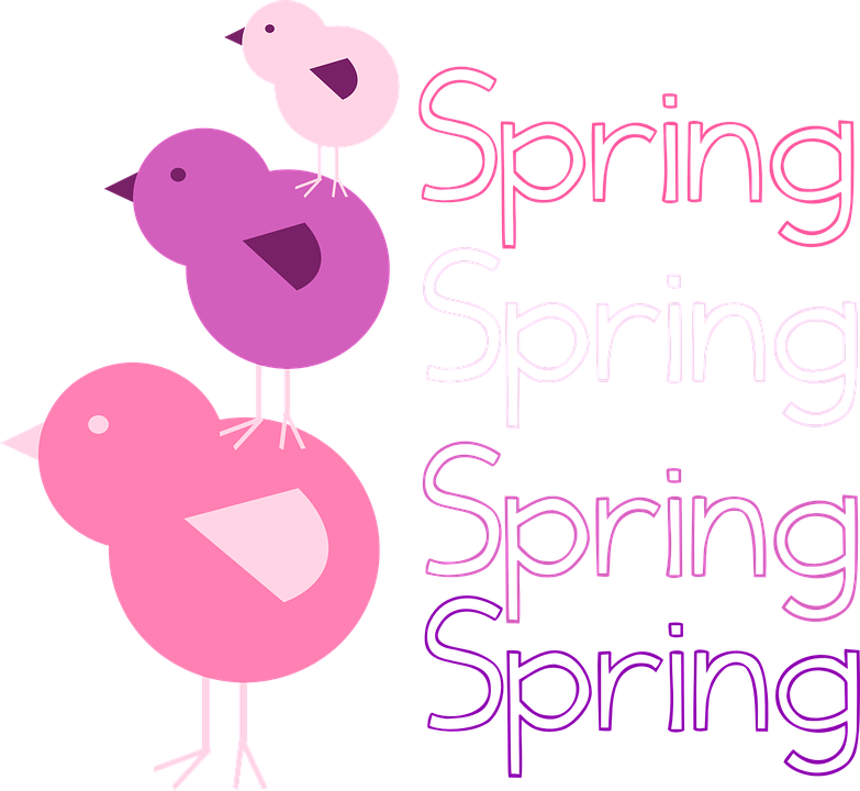 Images Of Owls Clipart 27, - Chicken - Free Transparent PNG Clipart Images Download. - Owl Transparent PNG Free Download