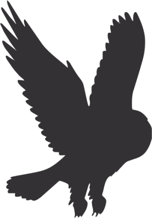 Owl Silhouette Png Download - Flying Owl Cartoon Transparent PNG - 312x448 - Free Download on - Owl Transparent PNG Free Download