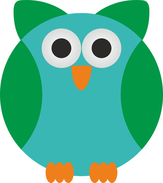Cartoon Pictures Of Owls 28, Buy Clip Art - Animales Con Plumas Para Dibujar - Free Transparent PNG Clipart Images Download. - Owl Transparent PNG Free Download