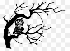 Black And White Owl - Tree With Owl Drawing - Free Transparent PNG Clipart Images Download. - Owl Transparent PNG Free Download
