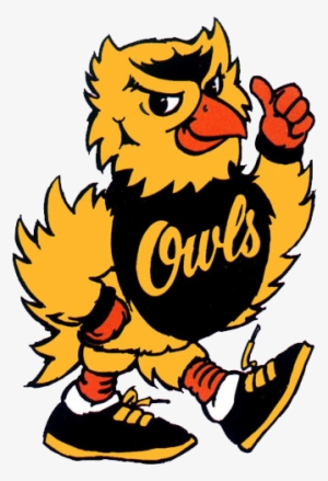 Old Kennesaw State Owl Transparent PNG - 347x500 - Free Download on - Owl Transparent PNG Free Download