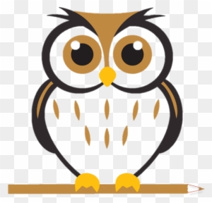Cartoon Pictures Of Owl - Free Transparent PNG Clipart Images Download. - Owl Transparent PNG Free Download