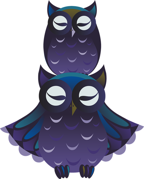 Baby Owl Clipart 11, Buy Clip Art - Png นก สี ม่วง - Free Transparent PNG Clipart Images Download. - Owl Transparent PNG Free Download