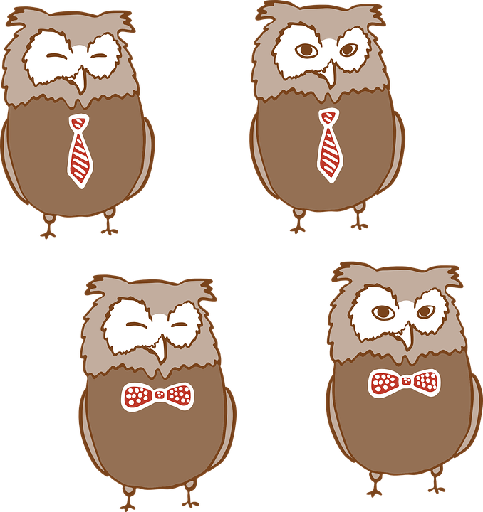 Baby Owl Clipart 25, Buy Clip Art - Love About You: Valentine's Day Journal / Composition - Free Transparent PNG Clipart Images Download. - Owl Transparent PNG Free Download