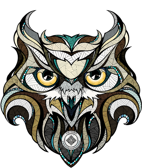 Landyachtz // New Graphics On Behance Andreas Preis - My Wonderful Walls Owl Wall Decal Size: Medium - Free Transparent PNG Clipart Images Download. - Owl Transparent PNG Free Download