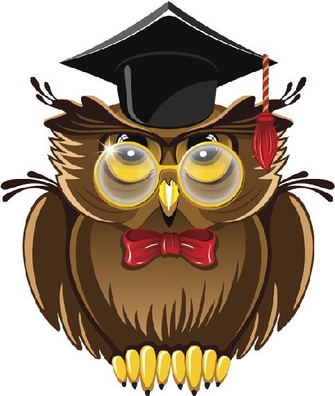 Great Clip Art For The Graduate - Enemy Of Ignorance: Facts, Trivia, & General Knowledge - Free Transparent PNG Clipart Images Download. - Owl Transparent PNG Free Download