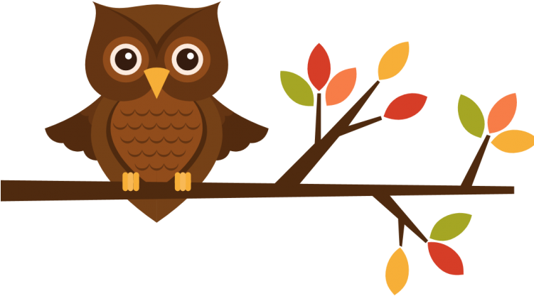 1200 X 600 - Owl Happy Birthday Coloring Page - Free Transparent PNG Clipart Images Download. - Owl Transparent PNG Free Download