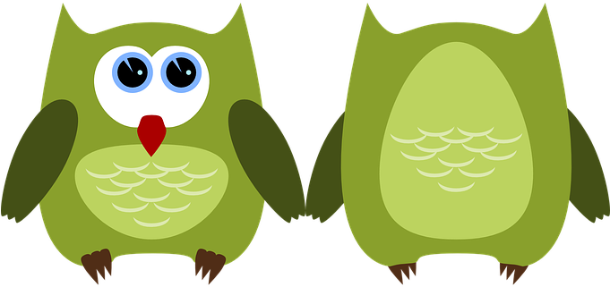 Owl Bird Animal Plumage Cute Feather Birds - Bright Red Owl Oval Ornament - Free Transparent PNG Clipart Images Download. - Owl Transparent PNG Free Download