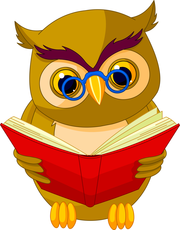 9 Png Owl Clip Art And Craft Art Rh Pinterest Com Au - Owl Cartoon - Free Transparent PNG Clipart Images Download. - Owl Transparent PNG Free Download