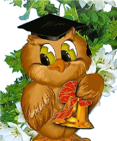 Owl Teacher Cartoon Characters - Sveikinimai Su Mokslo Metu Pradzia - Free Transparent PNG Clipart Images Download. - Owl Transparent PNG Free Download