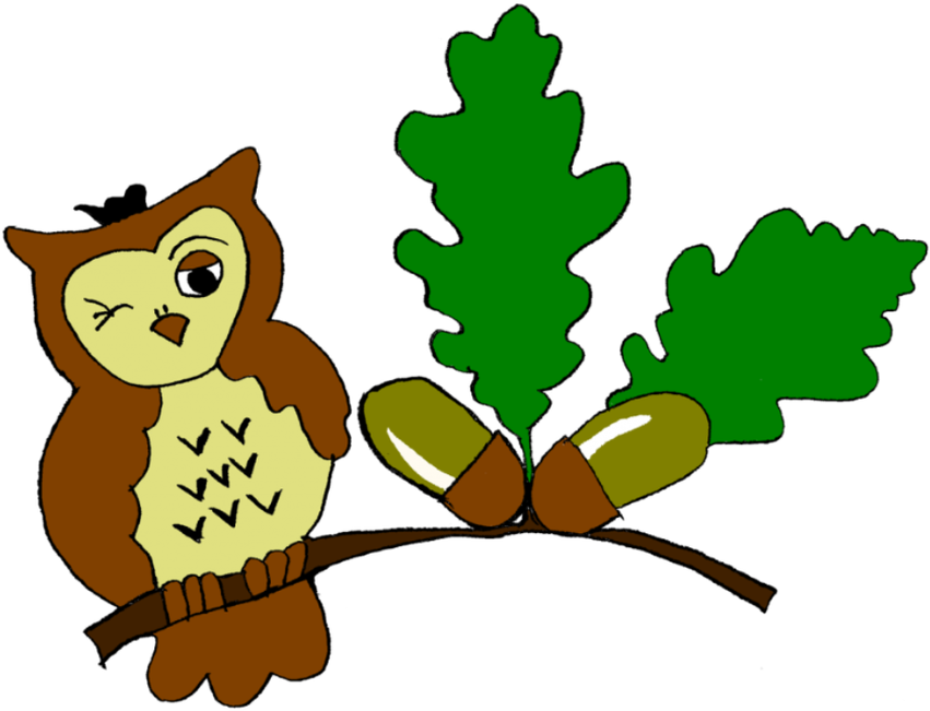 Barn Owls Nursery At Shifnal Primary School - Shifnal Primary School - Free Transparent PNG Clipart Images Download. - Owl Transparent PNG Free Download