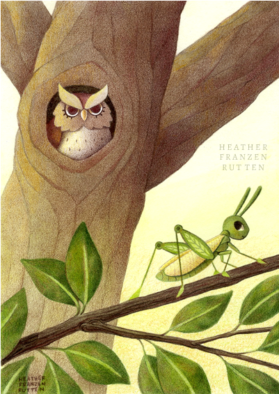 7) The Owl And Finishing Touches I Add Naples Yellow - Green - Free Transparent PNG Clipart Images Download. - Owl Transparent PNG Free Download