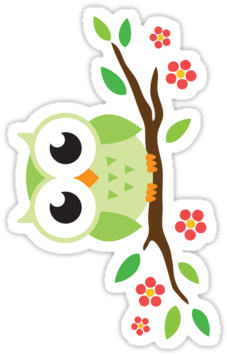 Cute Green Cartoon Owl On Floral Branch Sticker By - Niedliche Grüne Eule Auf Personalisiertem Namen Kaffeetasse - Free Transparent PNG Clipart Images Download. - Owl Transparent PNG Free Download