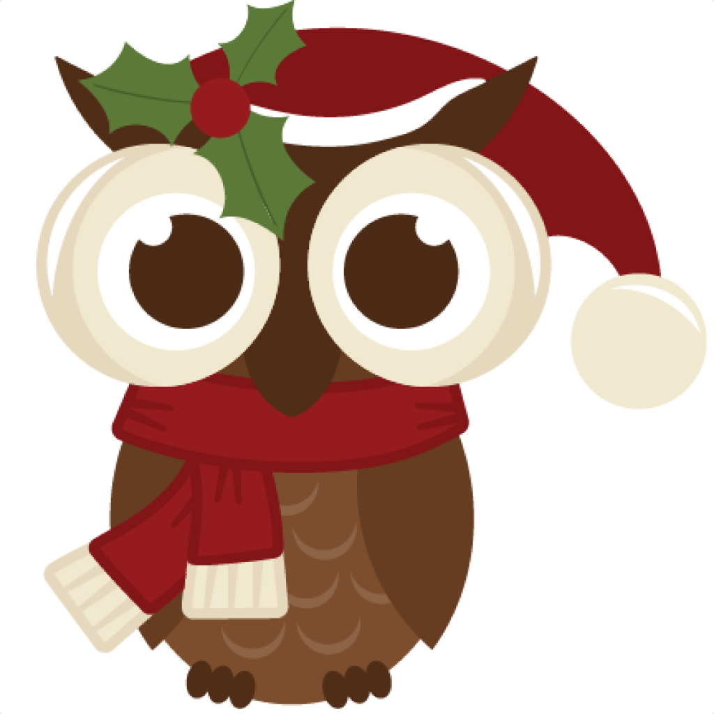 Cute Christmas Owl Clipart - Christmas Owl Png Transparent PNG - 432x432 - Free Download on - Owl Transparent PNG Free Download