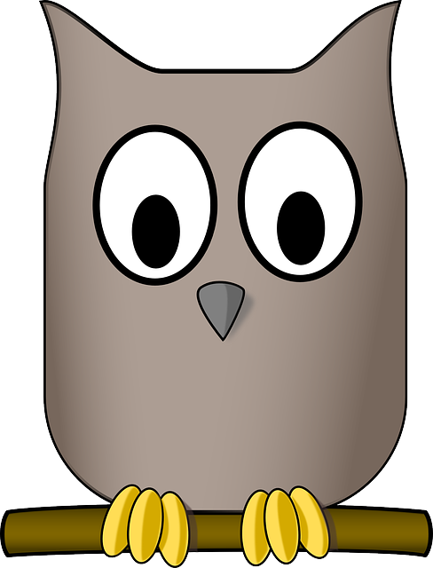Nature Owl, Animal, Aves, Bird, Eyes, Nature - Cartoon Athenas Owl - Free Transparent PNG Clipart Images Download. - Owl Transparent PNG Free Download