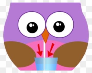 Owl Water Cliparts - Owl Water Cliparts - Free Transparent PNG Clipart Images Download. - Owl Transparent PNG Free Download