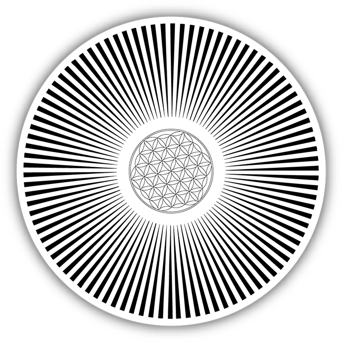 Flower Of Life - Adult Swim Owl Gif Transparent PNG - 720x720 - Free Download on - Owl Transparent PNG Free Download
