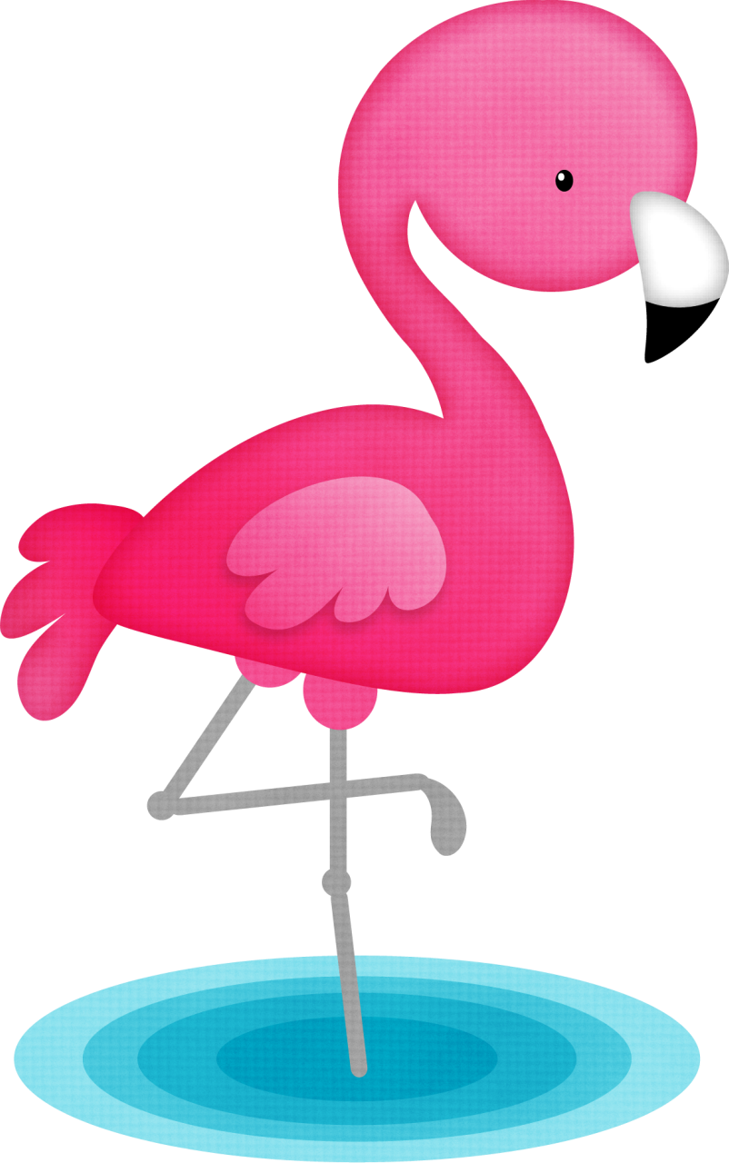 Birds Birdies Owls Pinterest - Cute Flamingo Clipart Transparent PNG - 802x1280 - Free Download on - Owl Transparent PNG Free Download