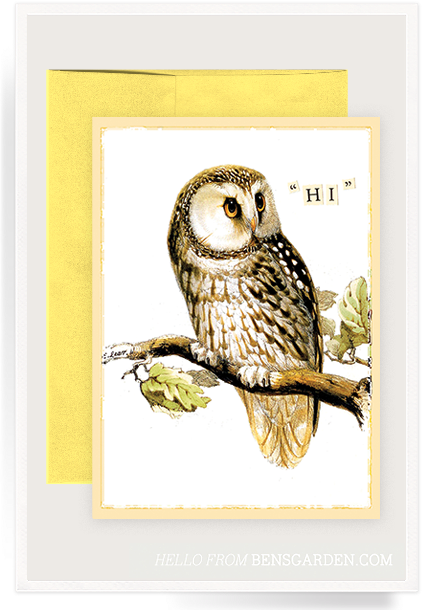 Hi Owl Folded Greeting Card - Giclée-druck: Lear's Illustration Of Tengmalm's Owl, - Free Transparent PNG Clipart Images Download. - Owl Transparent PNG Free Download