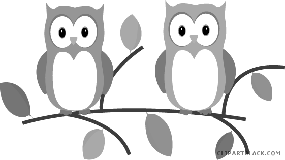 Owl On A Branch Animal Free Black White Clipart Images - Introduce Yourself As A Teacher - Free Transparent PNG Clipart Images Download. - Owl Transparent PNG Free Download