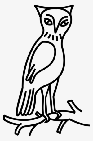 Vector Illustration Of Owl Nocturnal Bird Of Prey Stands - Eastern Screech Owl Transparent PNG - 464x700 - Free Download on - Owl Transparent PNG Free Download