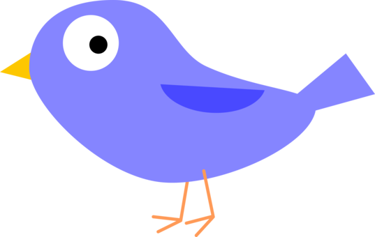 Beak Bird Cartoon Owl Penguin - Pajaro Animado Png - Free Transparent PNG Clipart Images Download. - Owl Transparent PNG Free Download