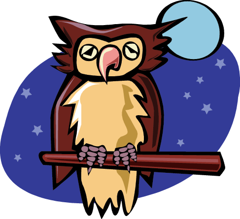 Can You Name Owl Species Play A Game Of Hangman And - Owl - Free Transparent PNG Clipart Images Download. - Owl Transparent PNG Free Download