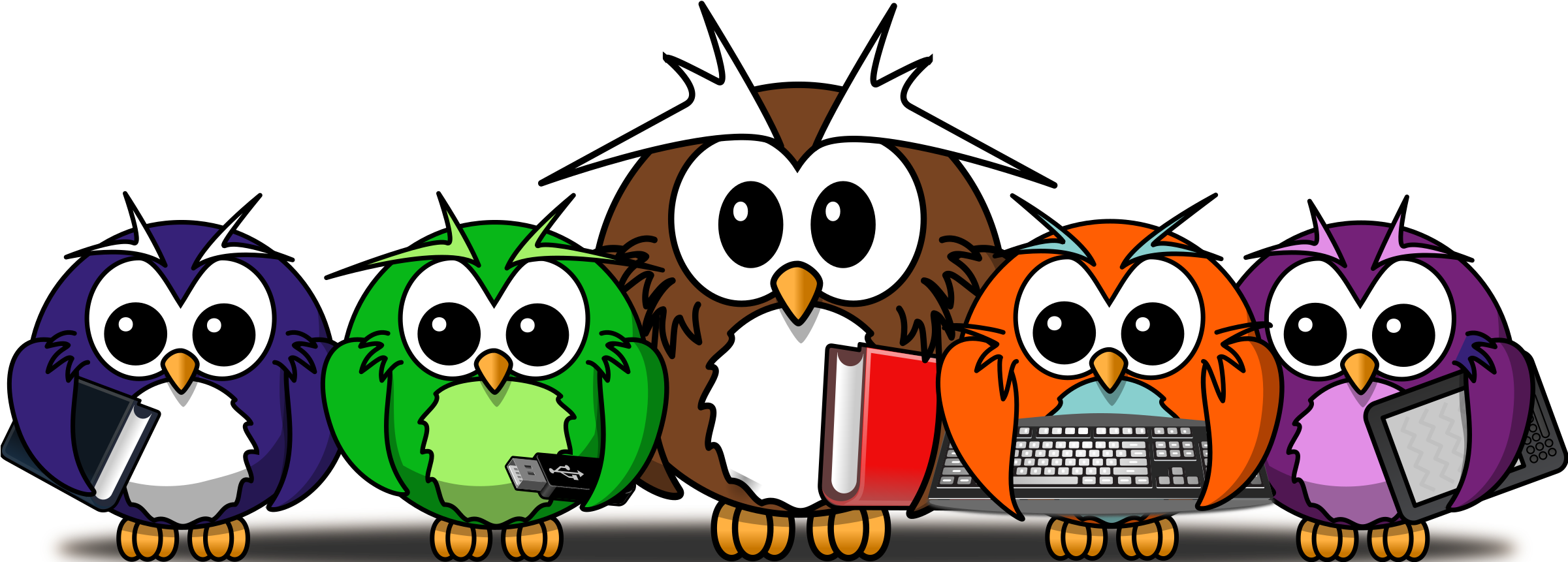 Little Owl Painting Line Art Cartoon - Cartoon Owl Shower Curtain - Free Transparent PNG Clipart Images Download. - Owl Transparent PNG Free Download